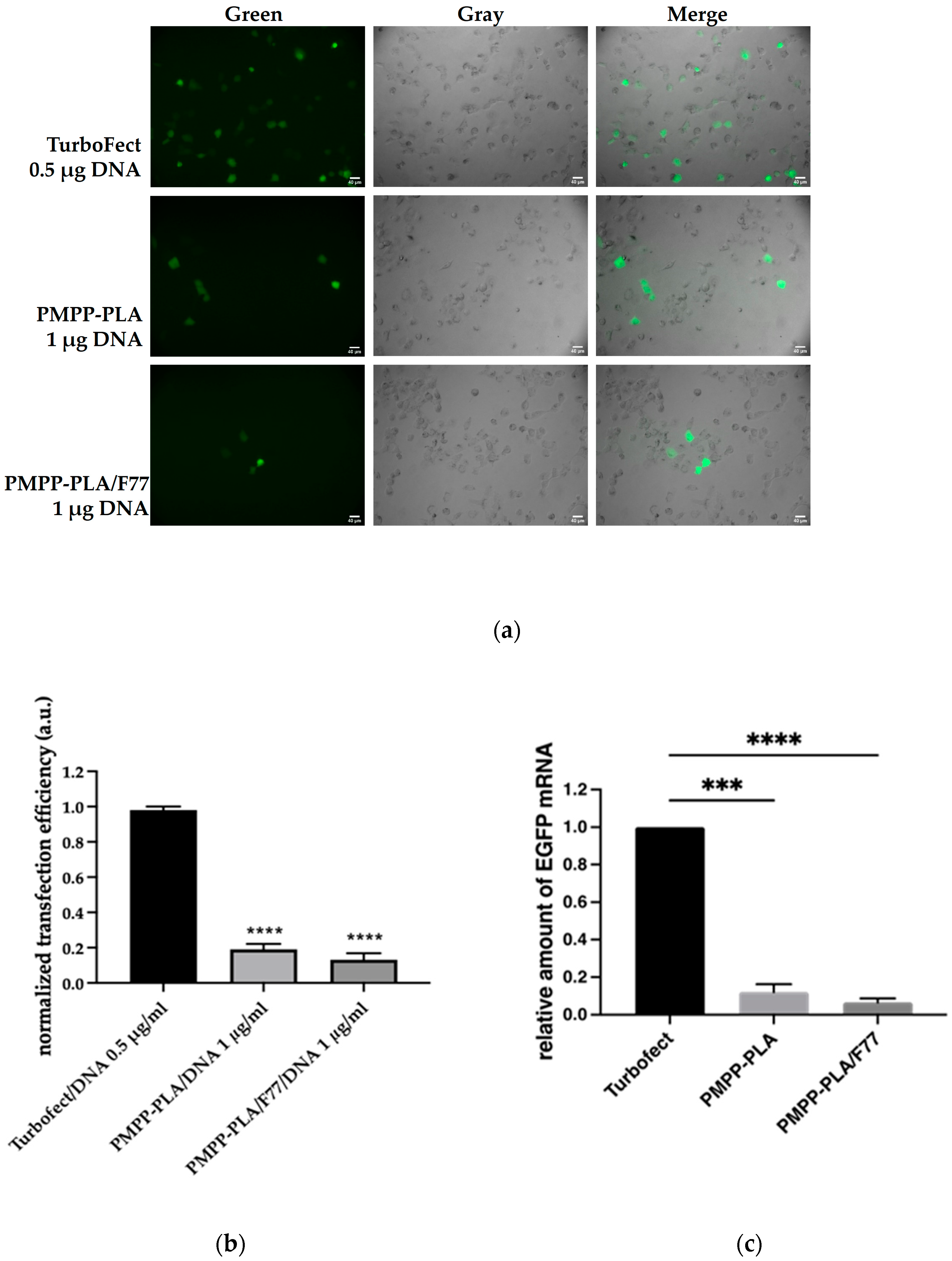 Polymers 16 03100 g010