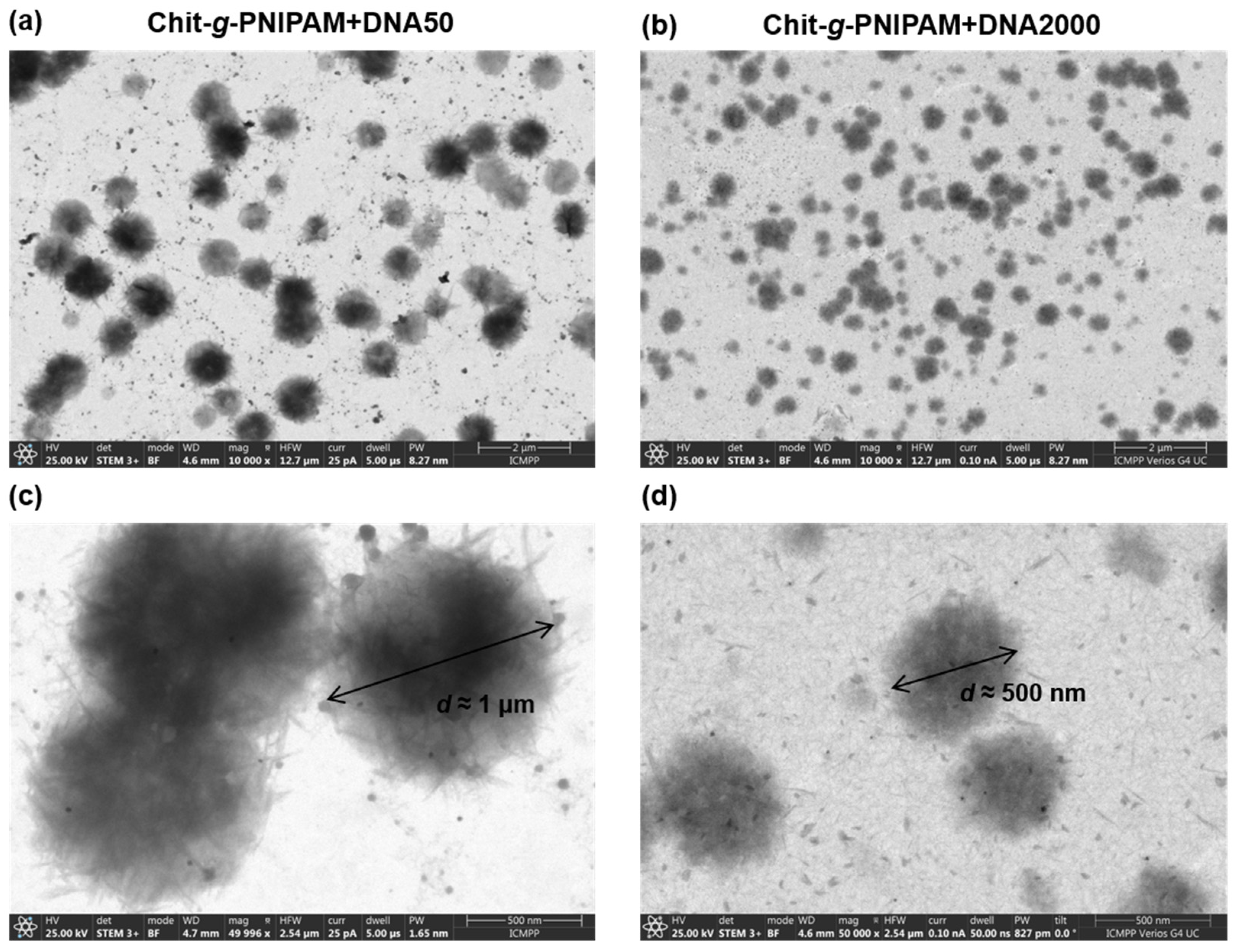 Polymers 16 03101 g002 Polymers 16 03101 g002