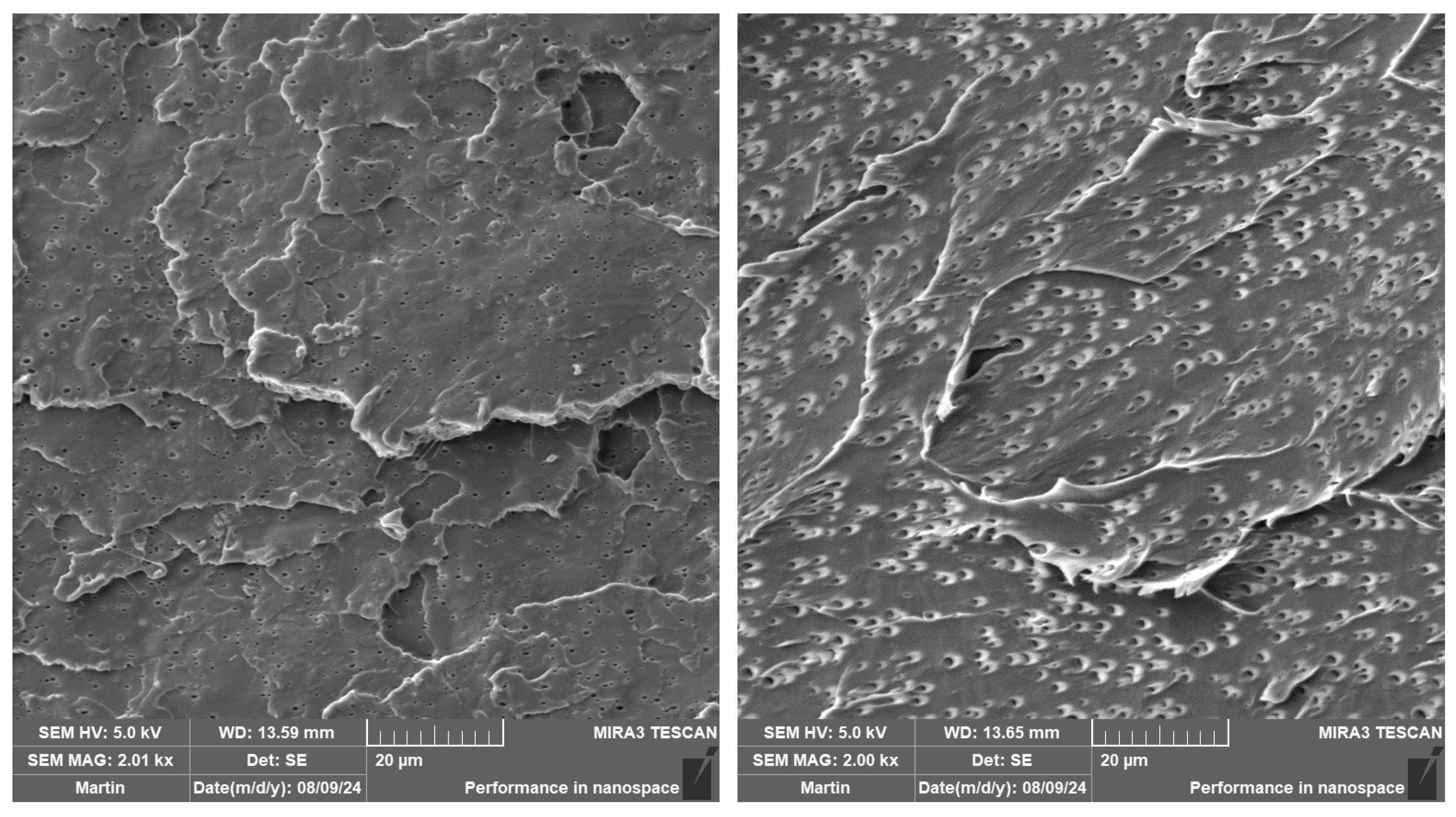 Polymers 16 03102 g007 Polymers 16 03102 g007
