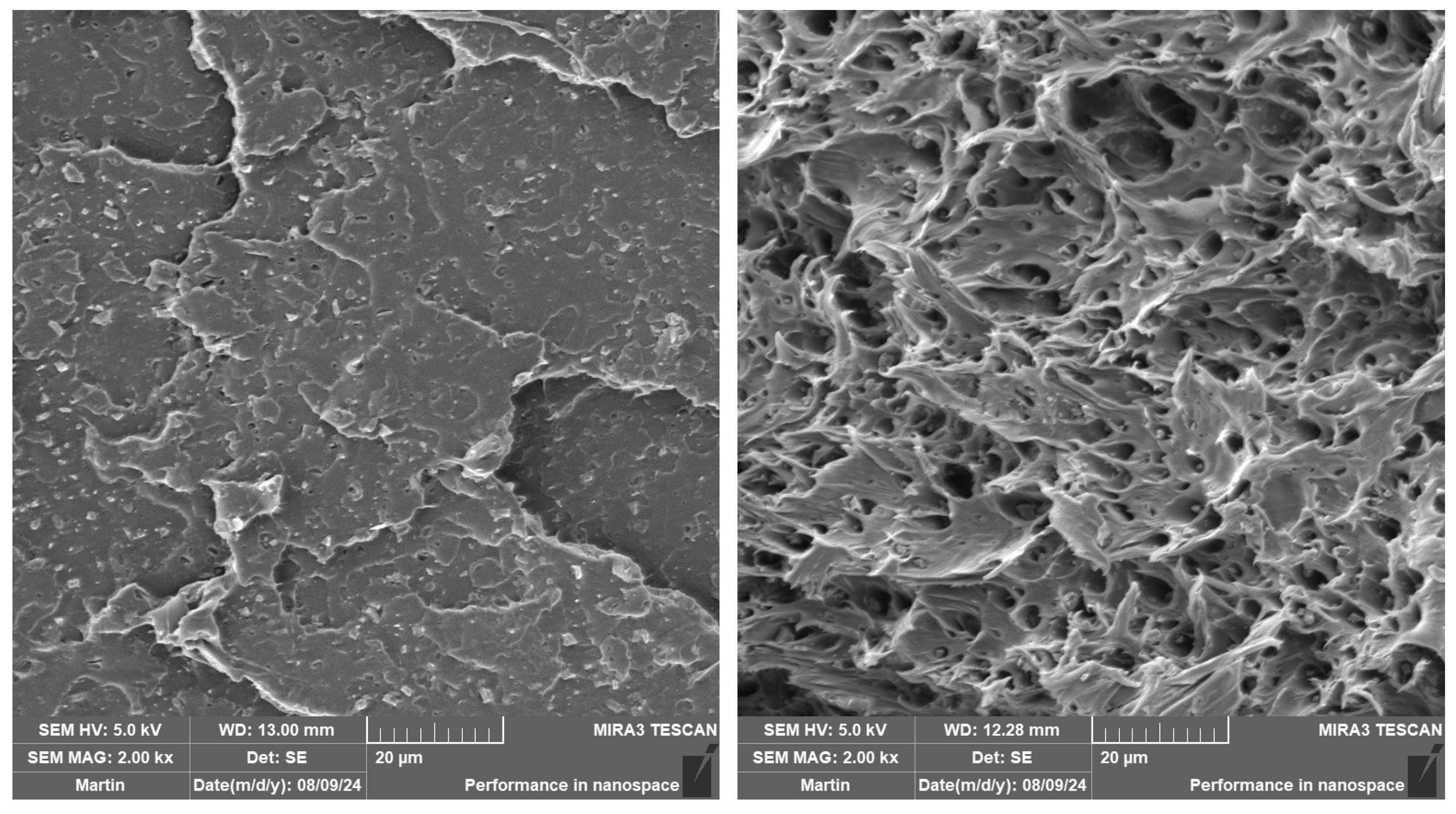 Polymers 16 03102 g009 Polymers 16 03102 g009