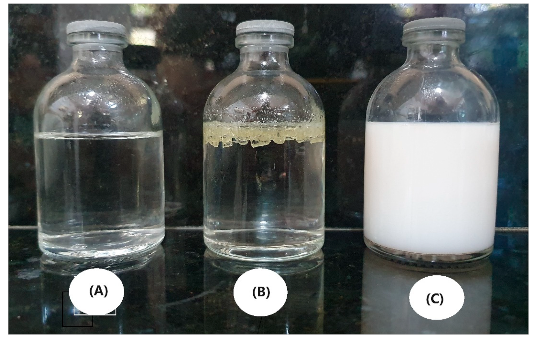 Polymers 16 03103 g008