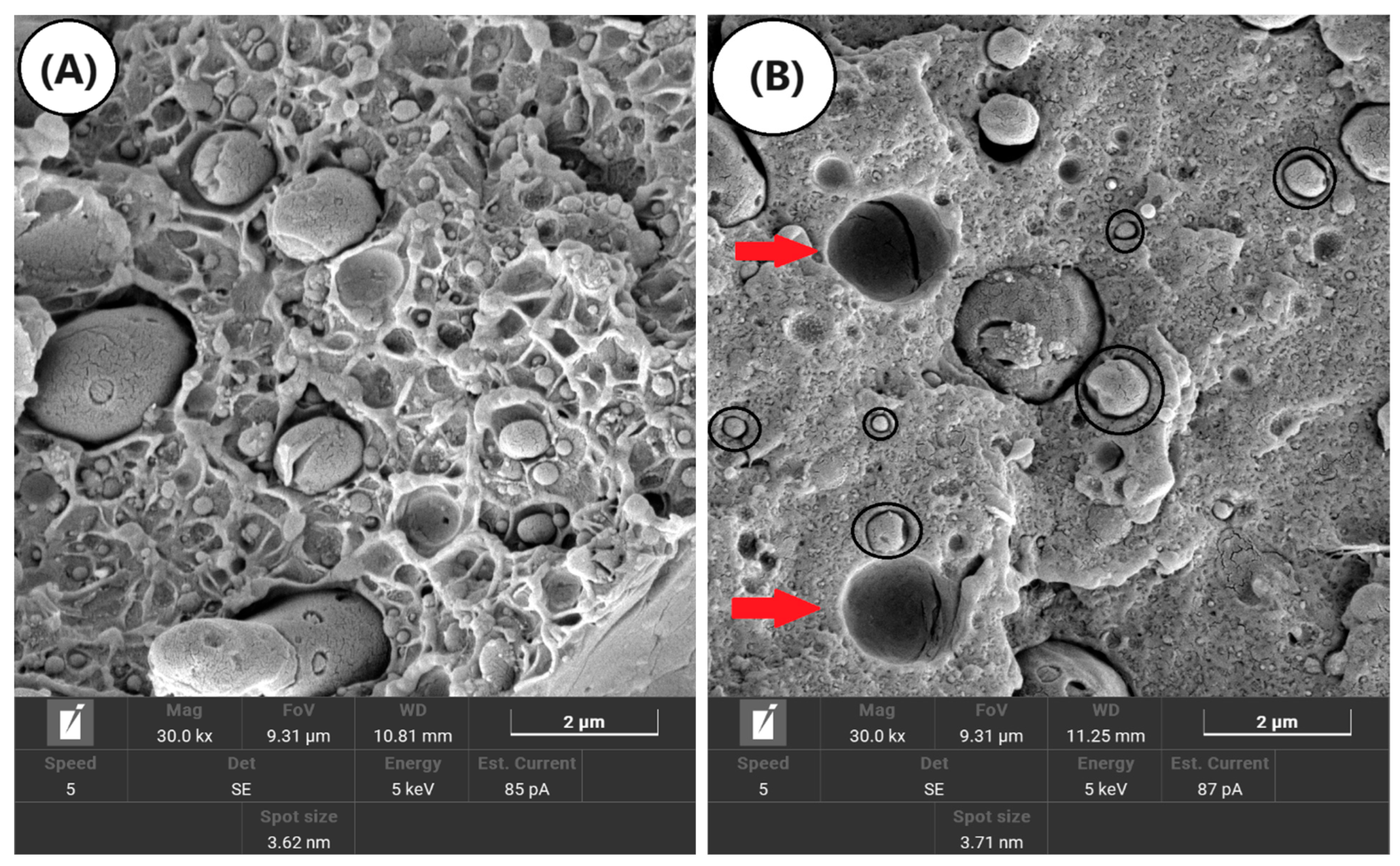 Polymers 16 03103 g012a