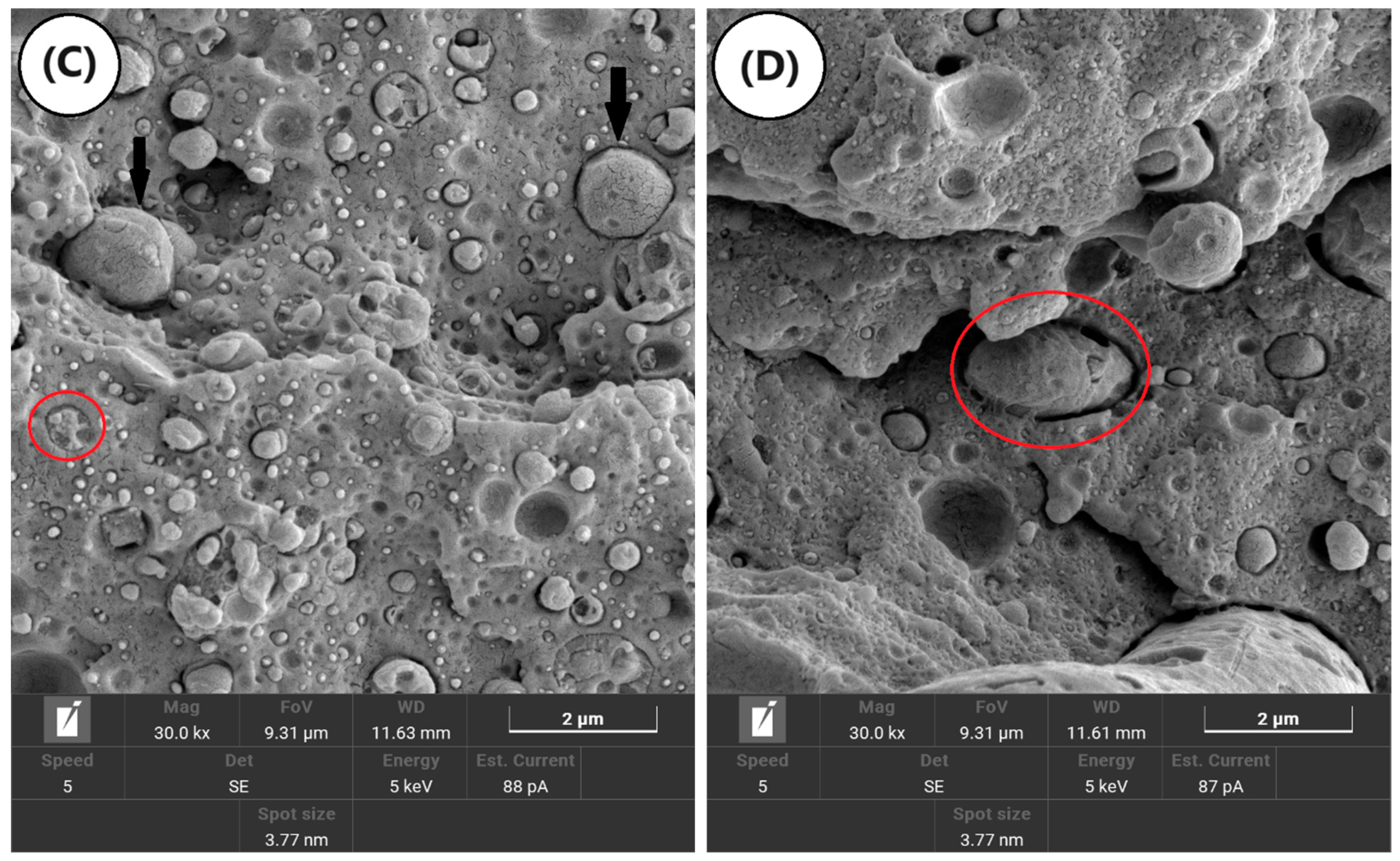 Polymers 16 03103 g012b
