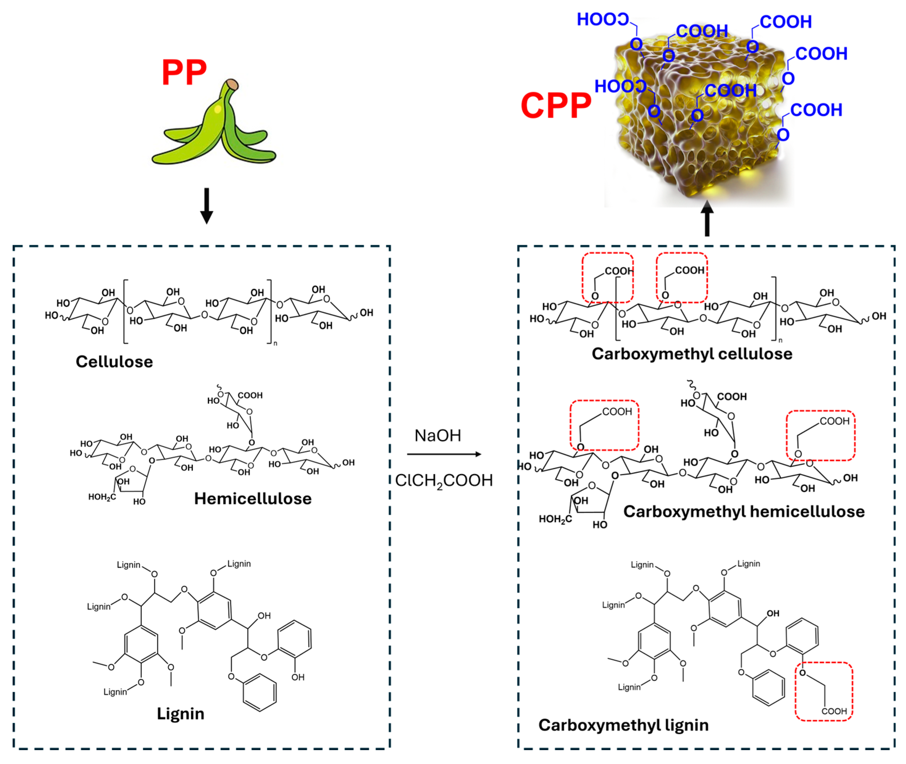 Polymers 16 03135 g002