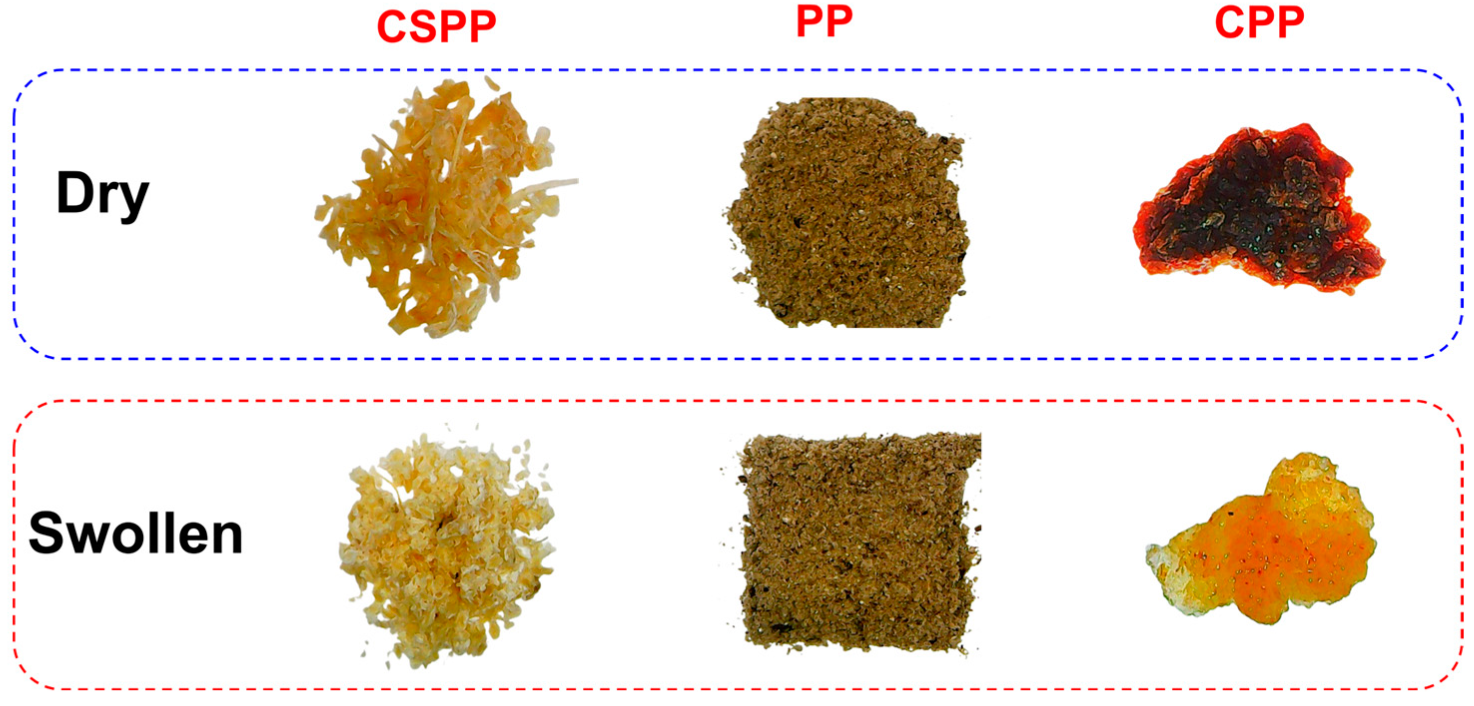 Polymers 16 03135 g003