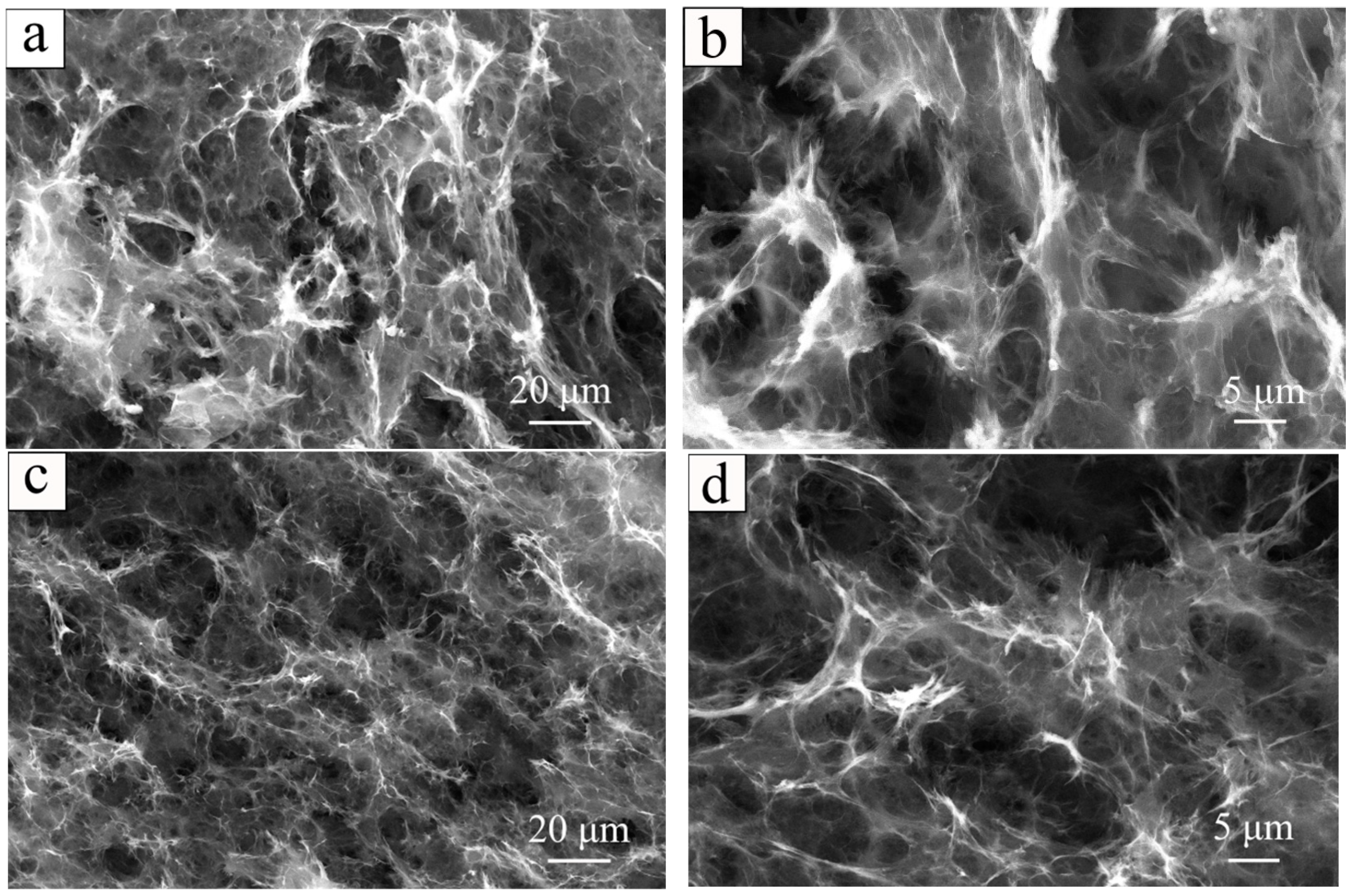 Polymers 16 03170 g002 Polymers 16 03170 g002