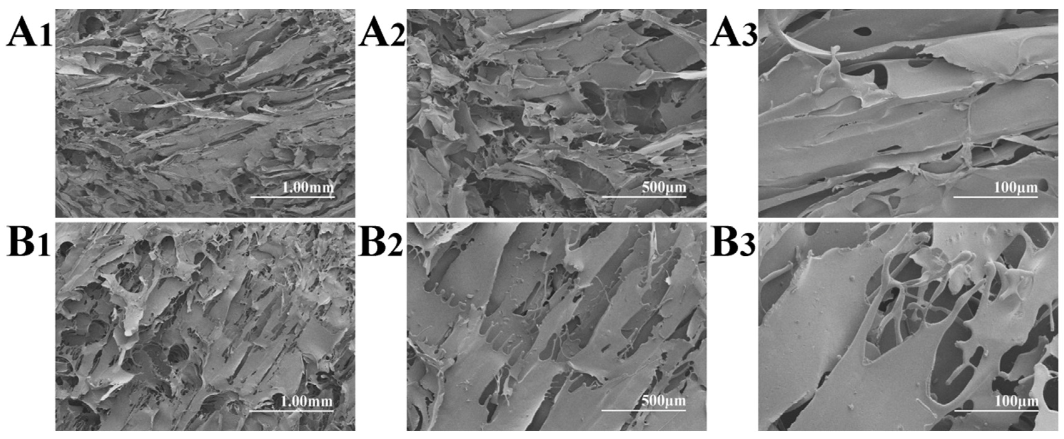Polymers 16 03183 g002
