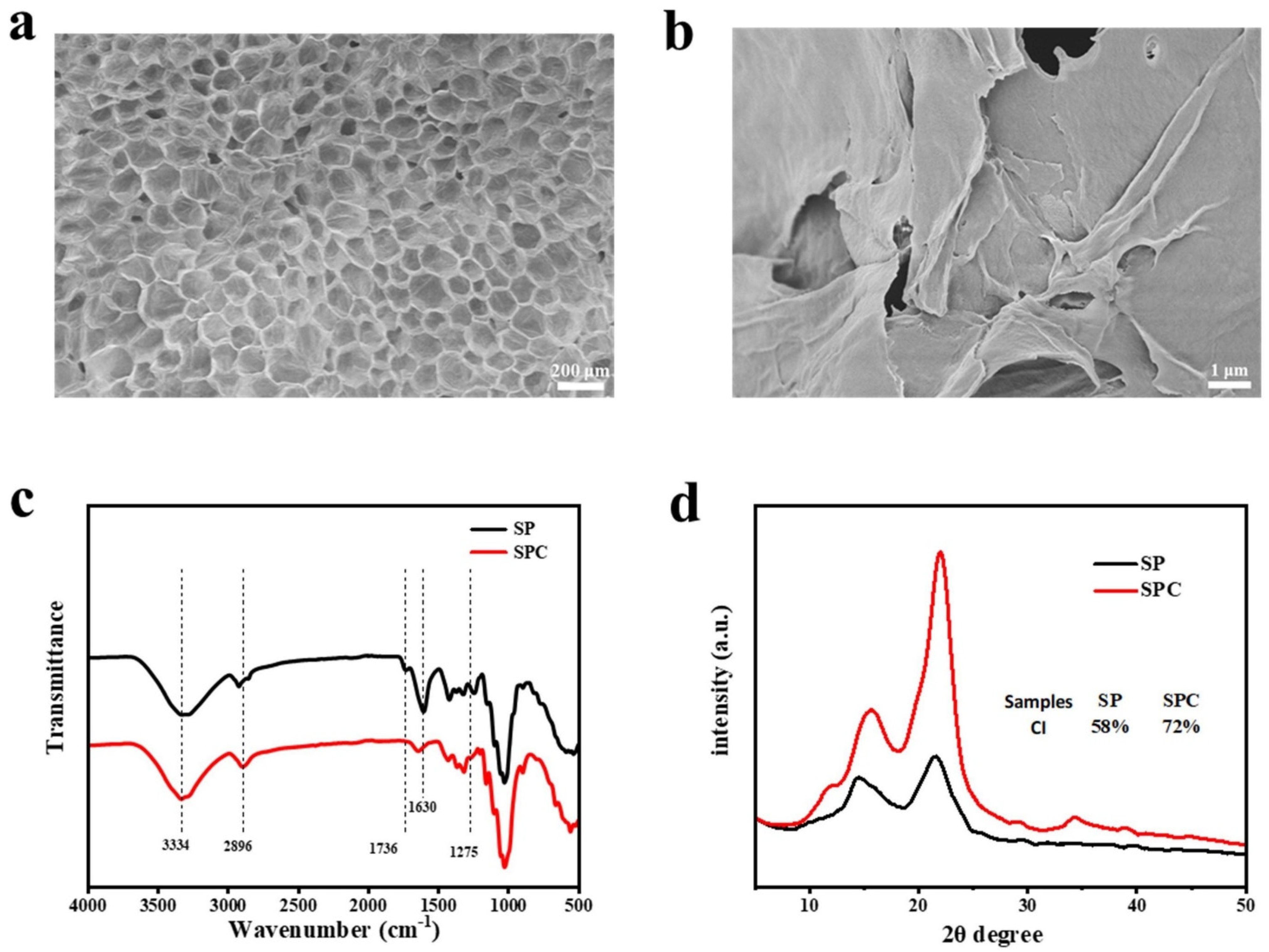 Polymers 16 03199 g001