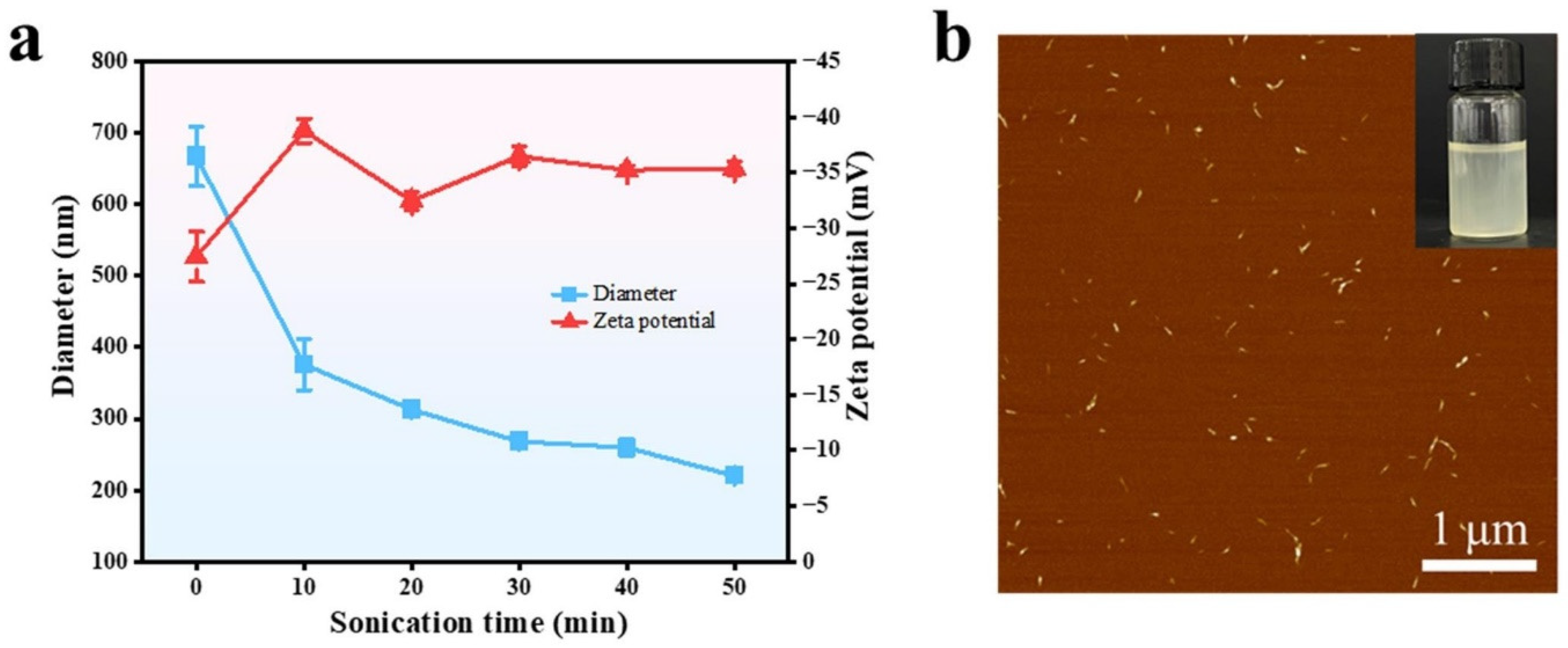 Polymers 16 03199 g002