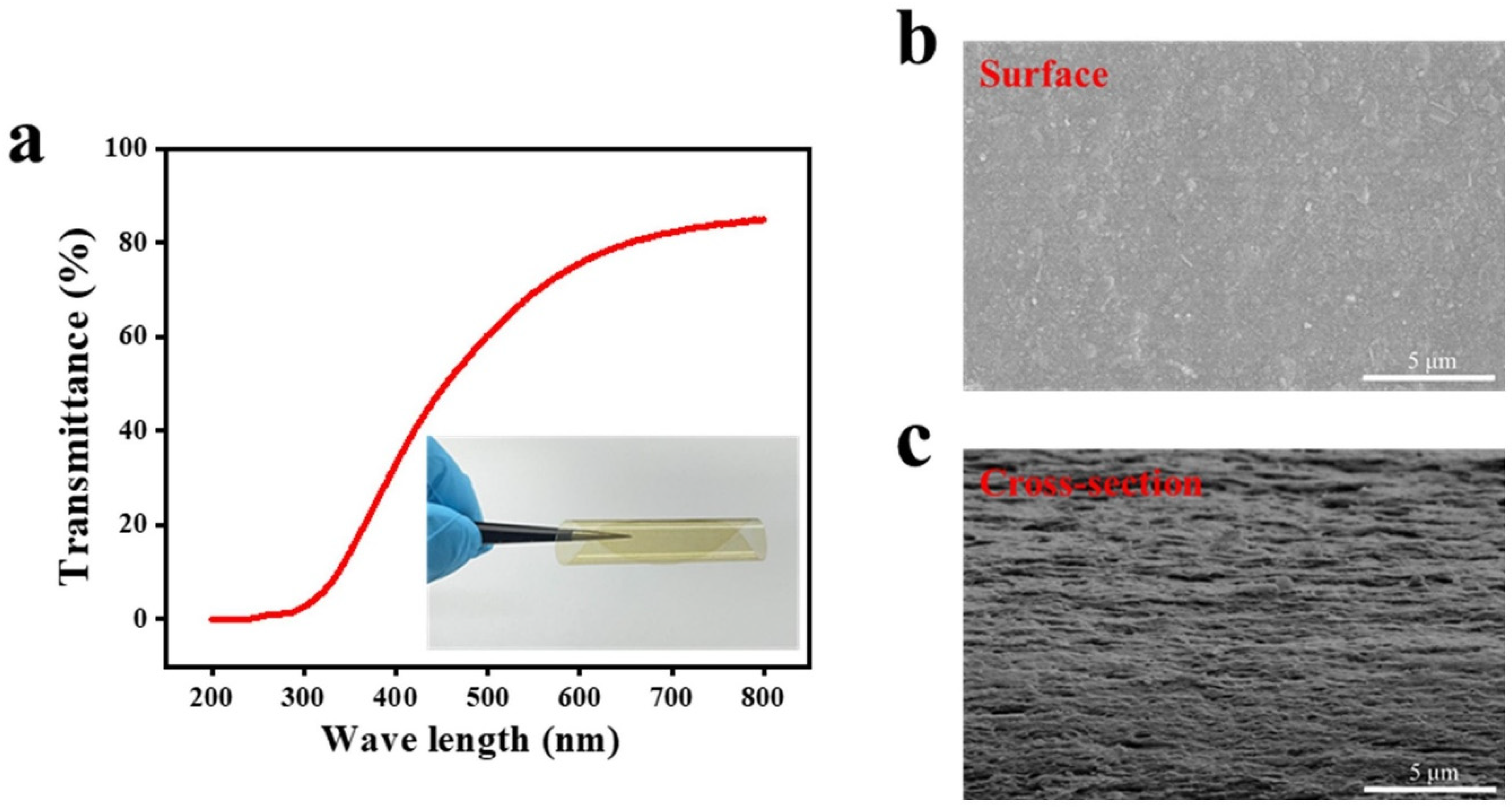 Polymers 16 03199 g003
