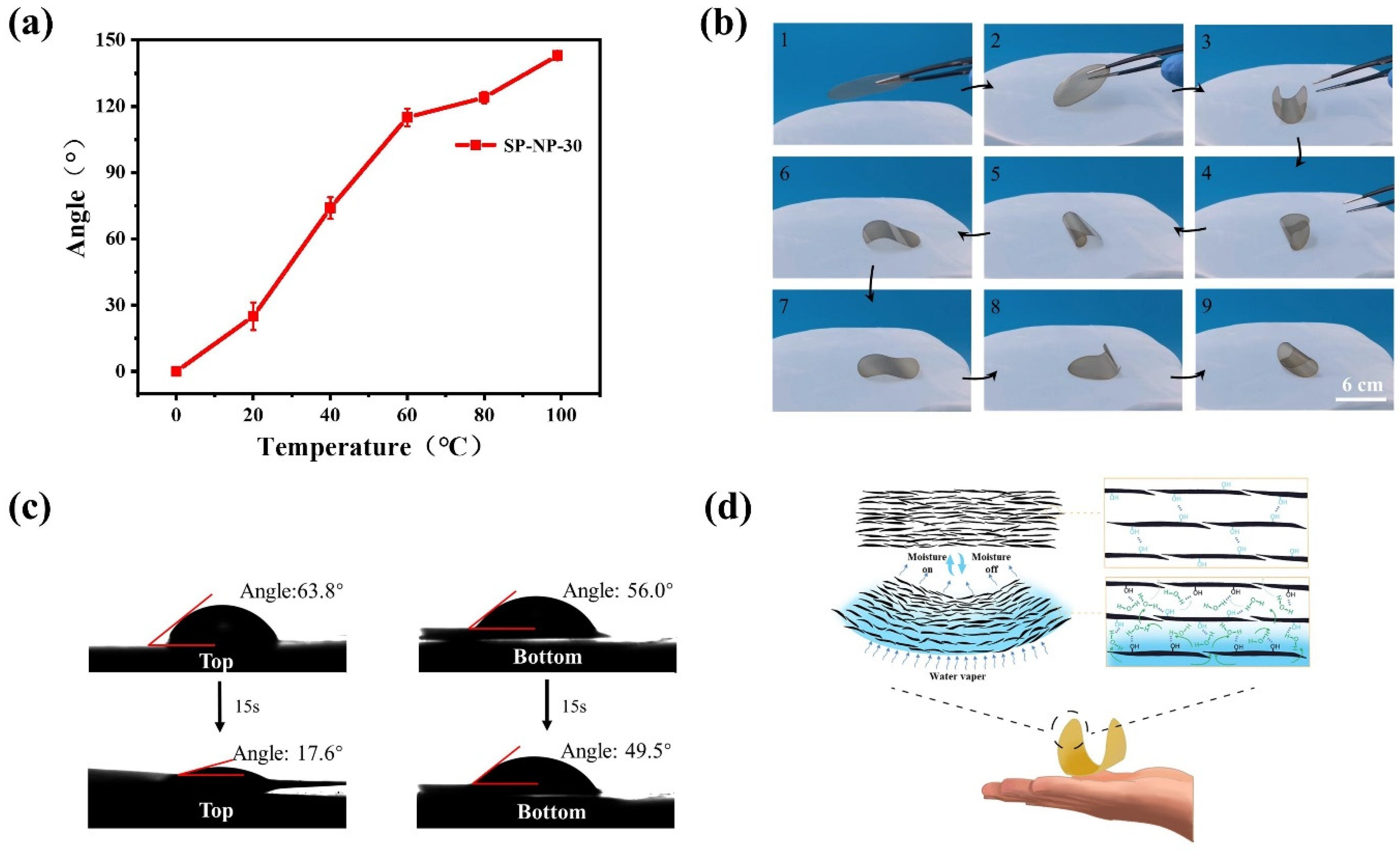 Polymers 16 03199 g004
