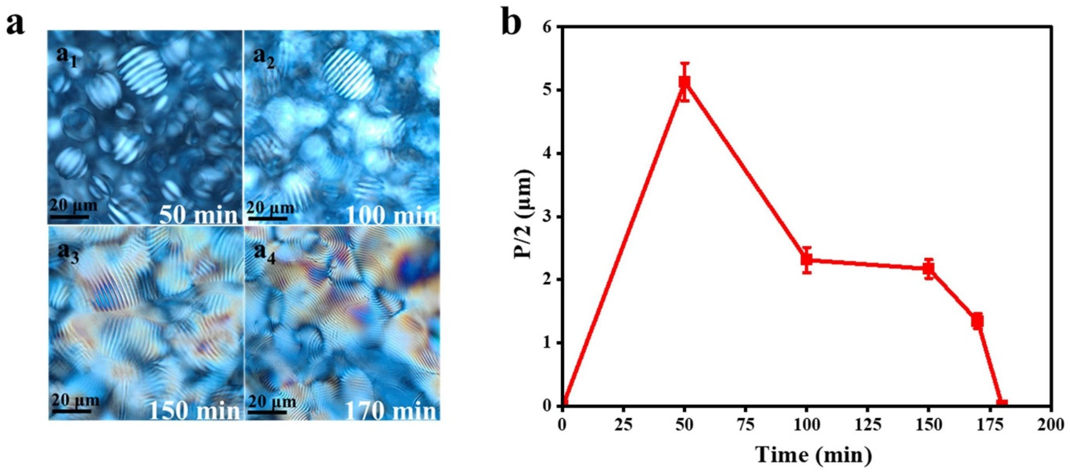 Polymers 16 03199 g006
