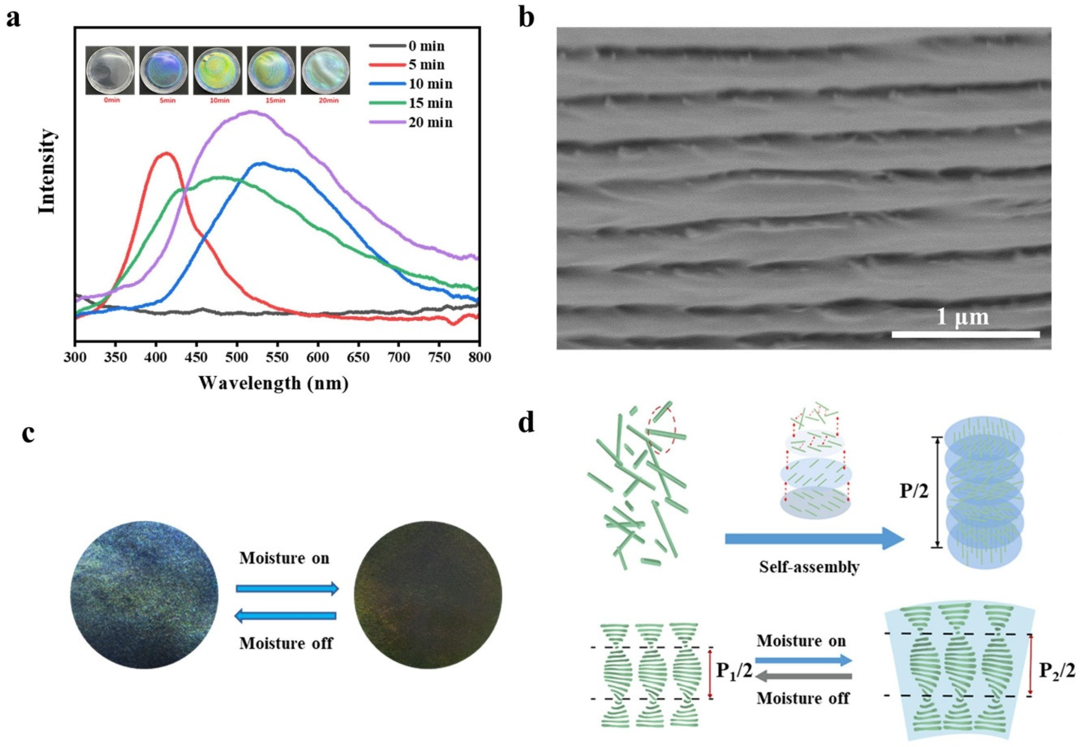 Polymers 16 03199 g007