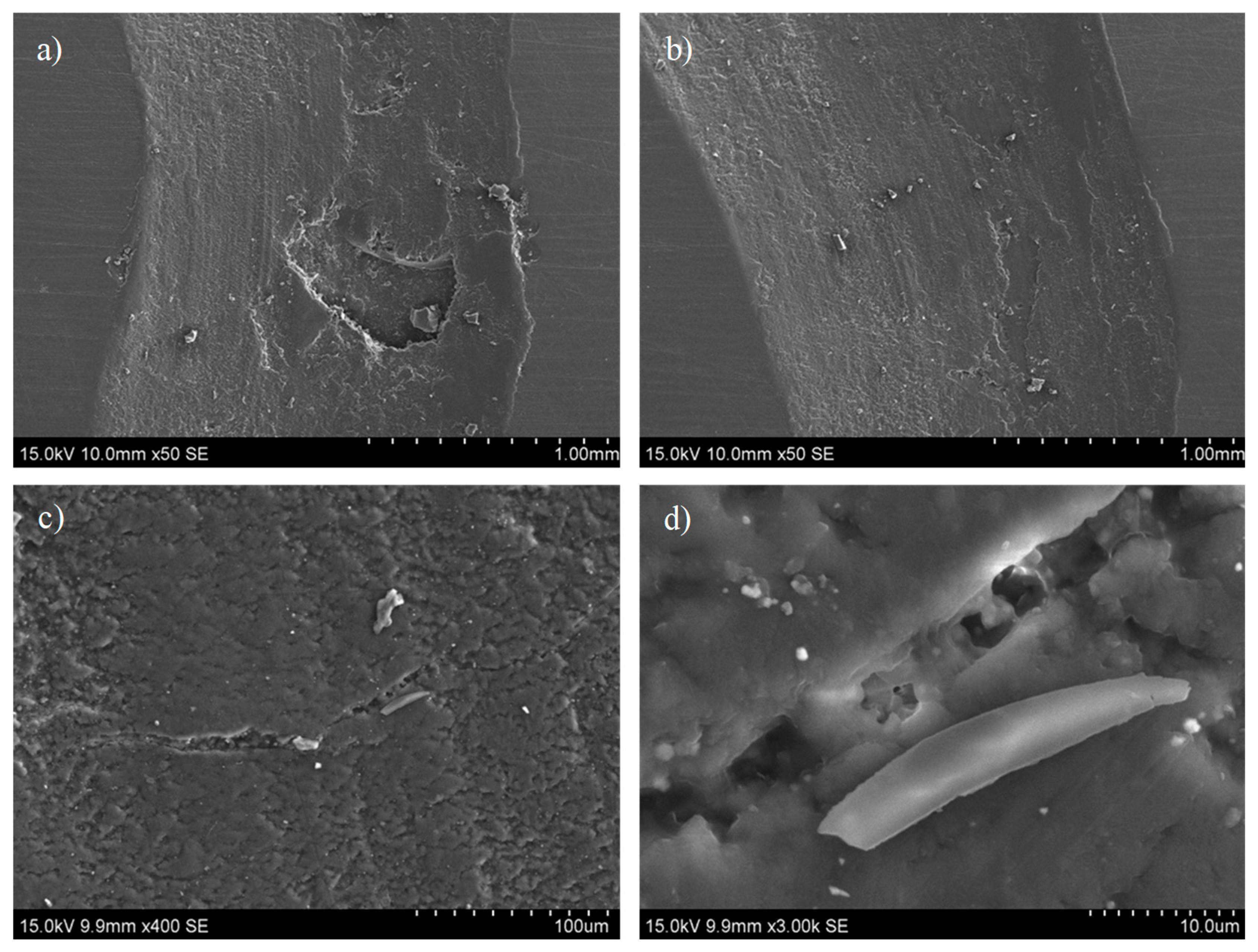 Polymers 16 03205 g008 Polymers 16 03205 g008