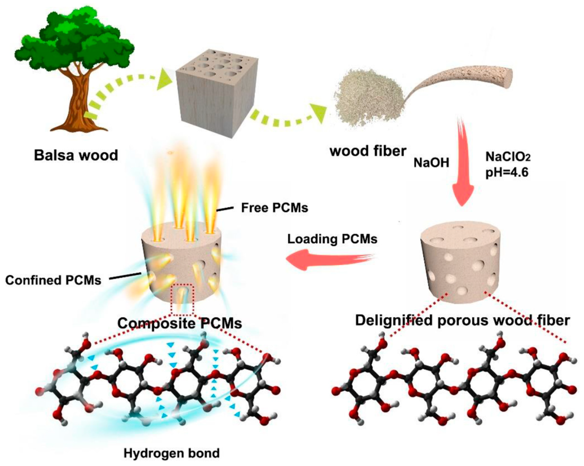 Polymers 16 03213 g001