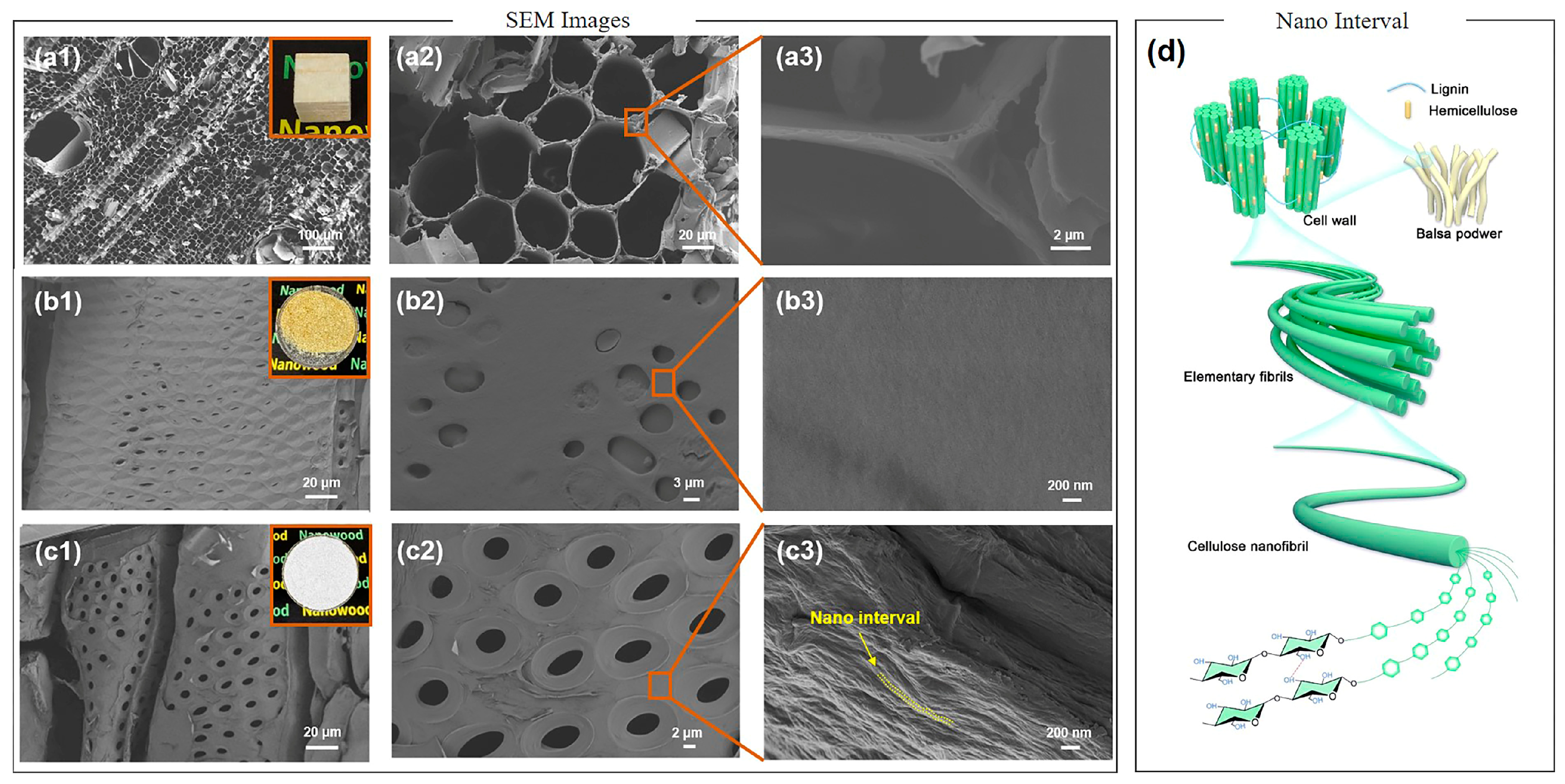 Polymers 16 03213 g002