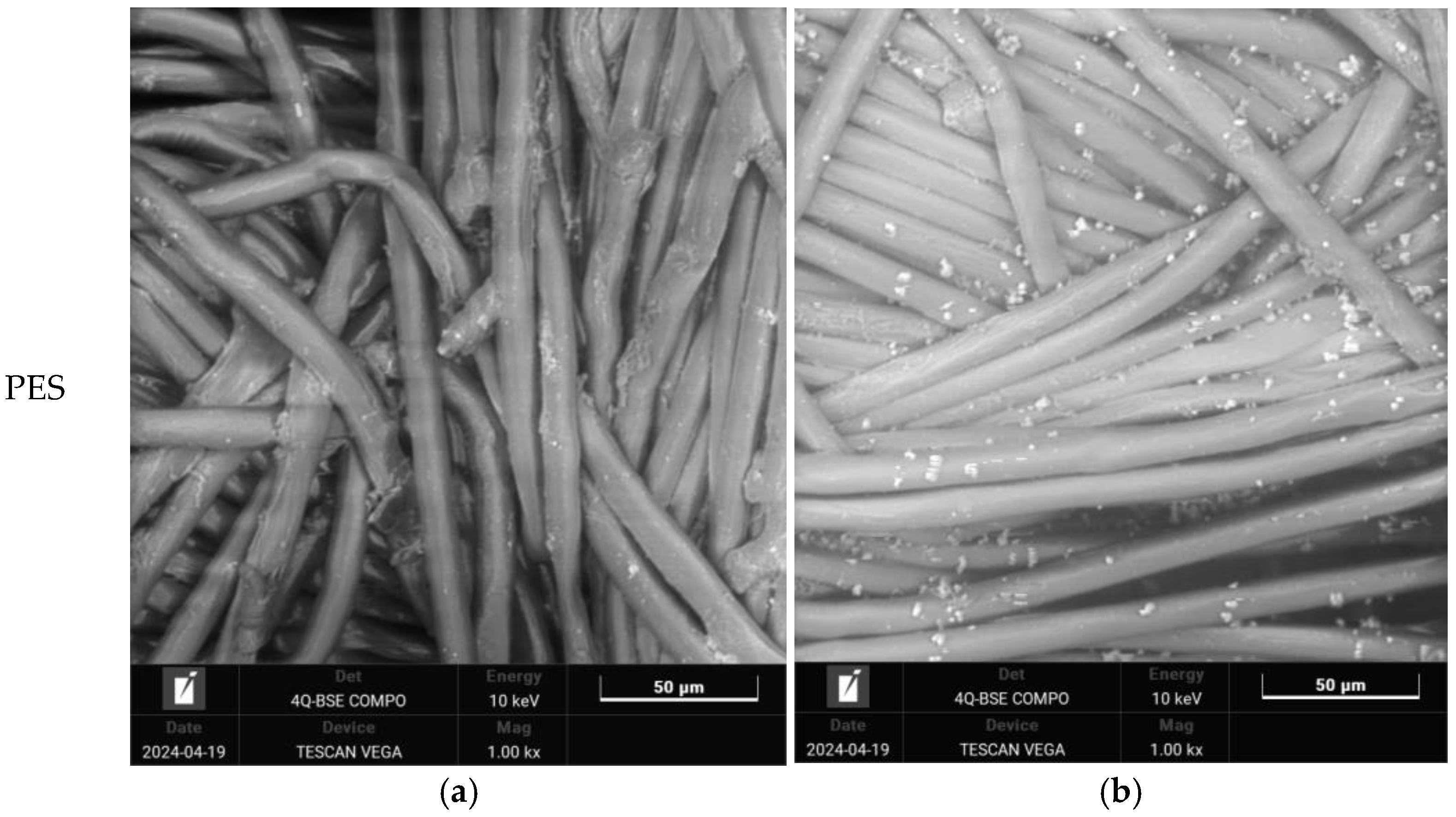 Polymers 16 03238 g006