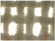 Polymers 16 03238 i001