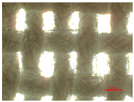 Polymers 16 03238 i002