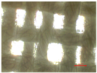 Polymers 16 03238 i004