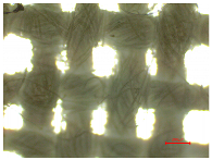 Polymers 16 03238 i006