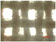 Polymers 16 03238 i007