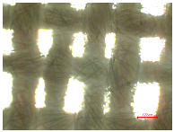 Polymers 16 03238 i008