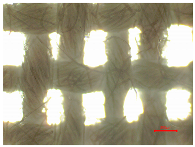 Polymers 16 03238 i009