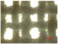 Polymers 16 03238 i010