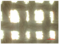 Polymers 16 03238 i011