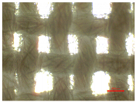 Polymers 16 03238 i012