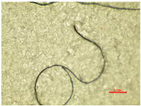 Polymers 16 03238 i018