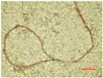 Polymers 16 03238 i020