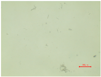 Polymers 16 03238 i021