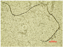 Polymers 16 03238 i022