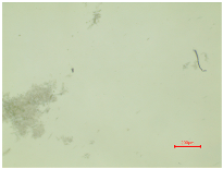 Polymers 16 03238 i023