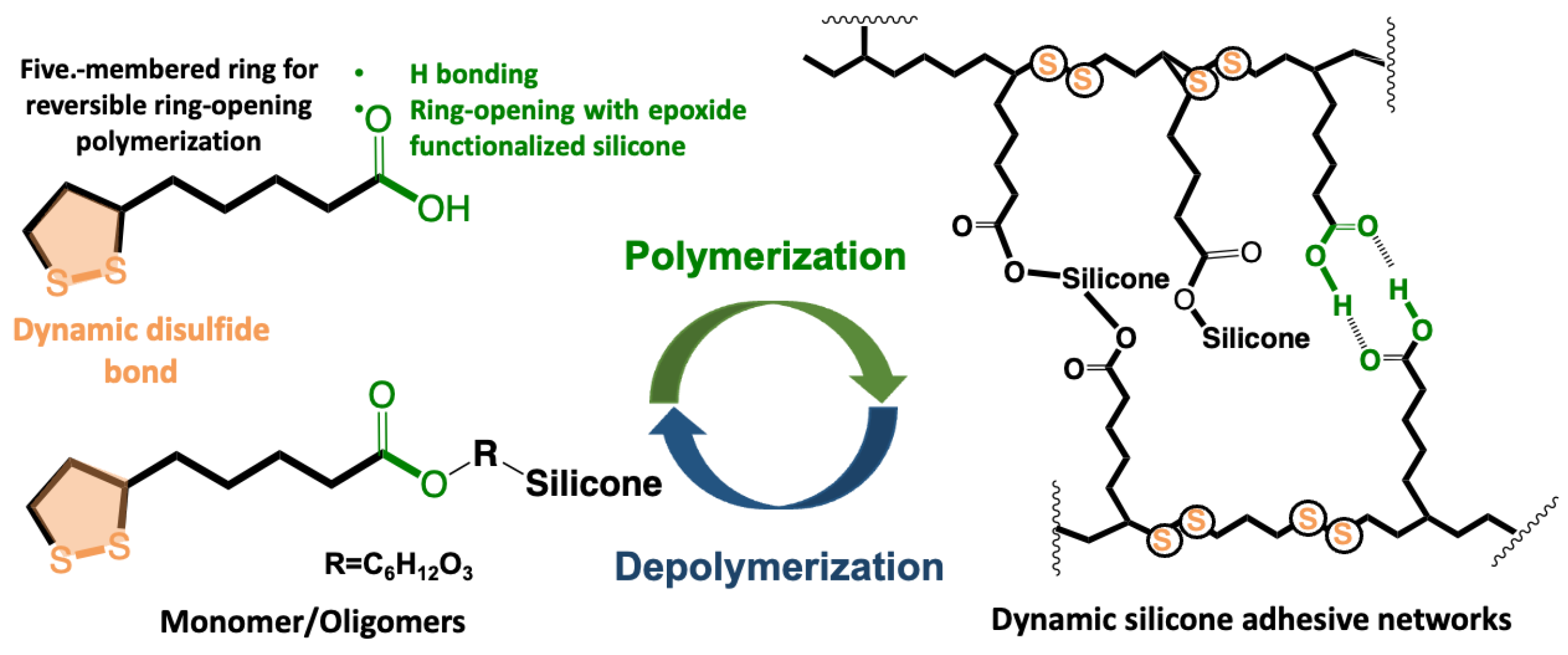 Polymers 16 03254 g001