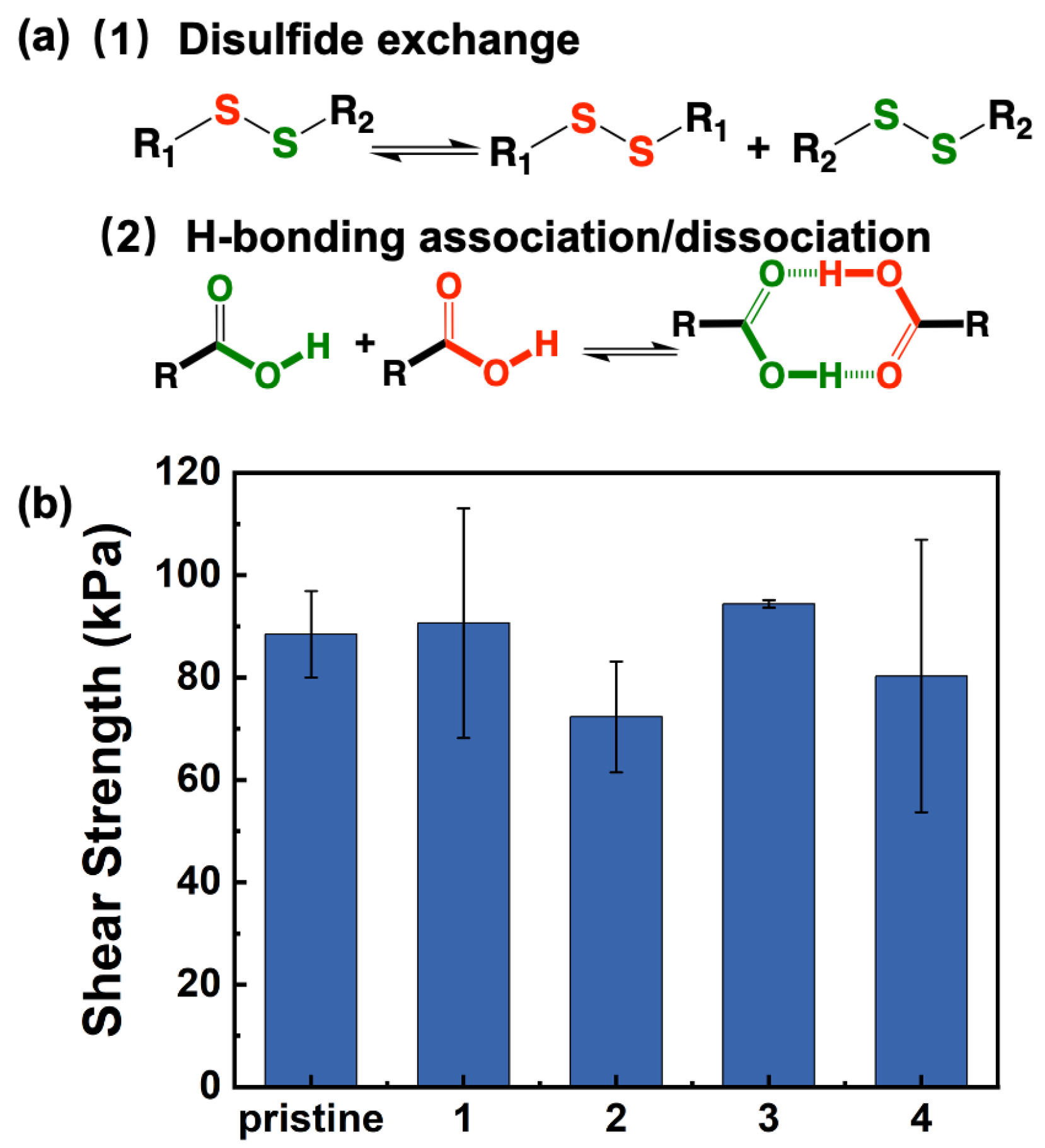 Polymers 16 03254 g007
