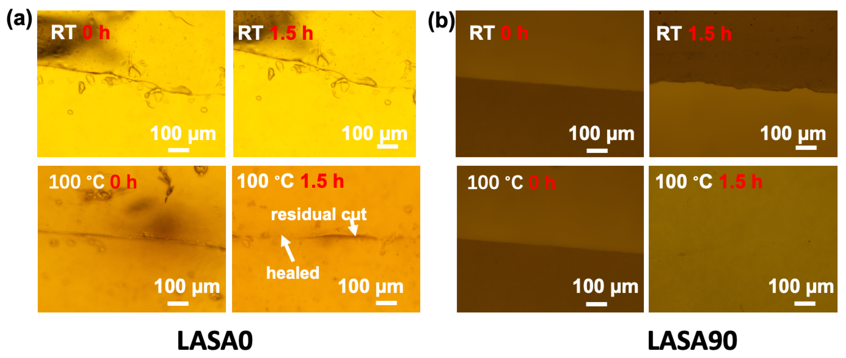 Polymers 16 03254 g008