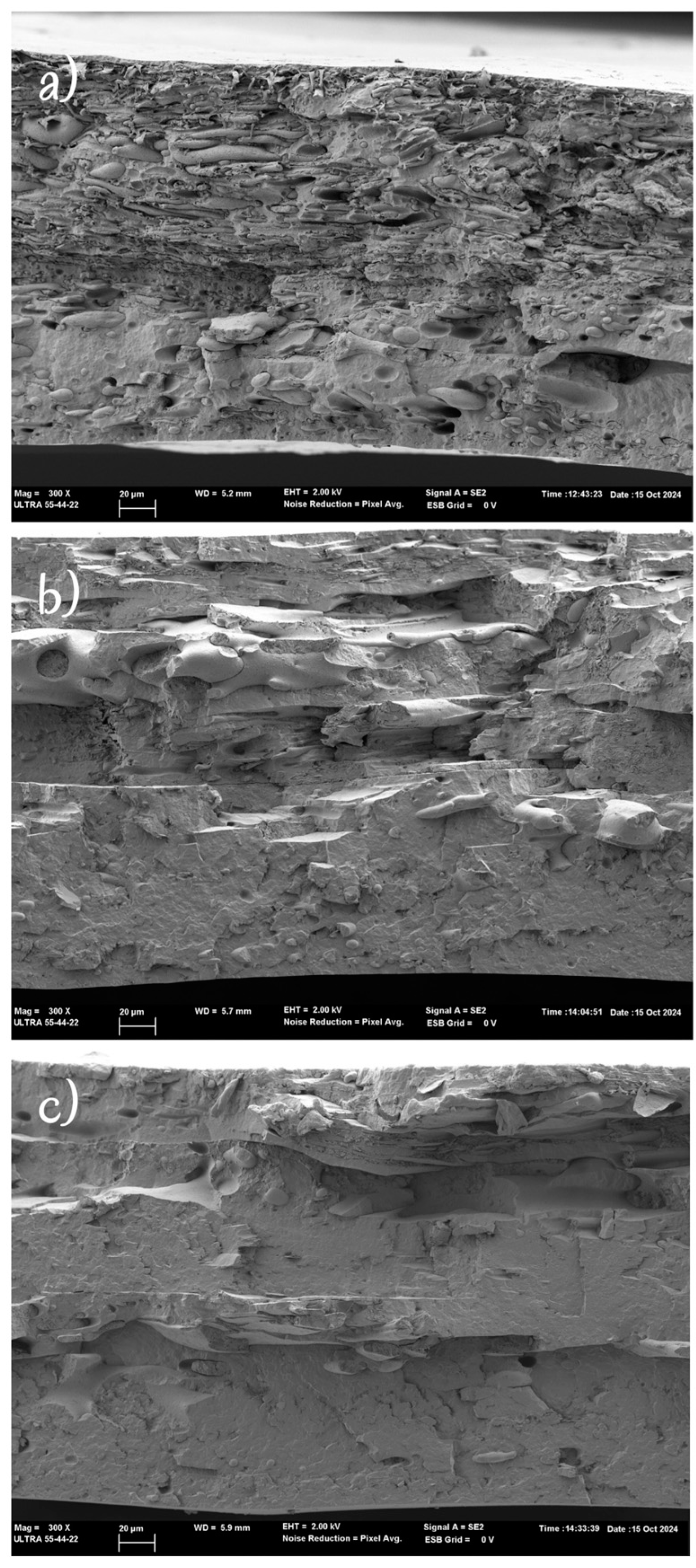 Polymers 16 03255 g007