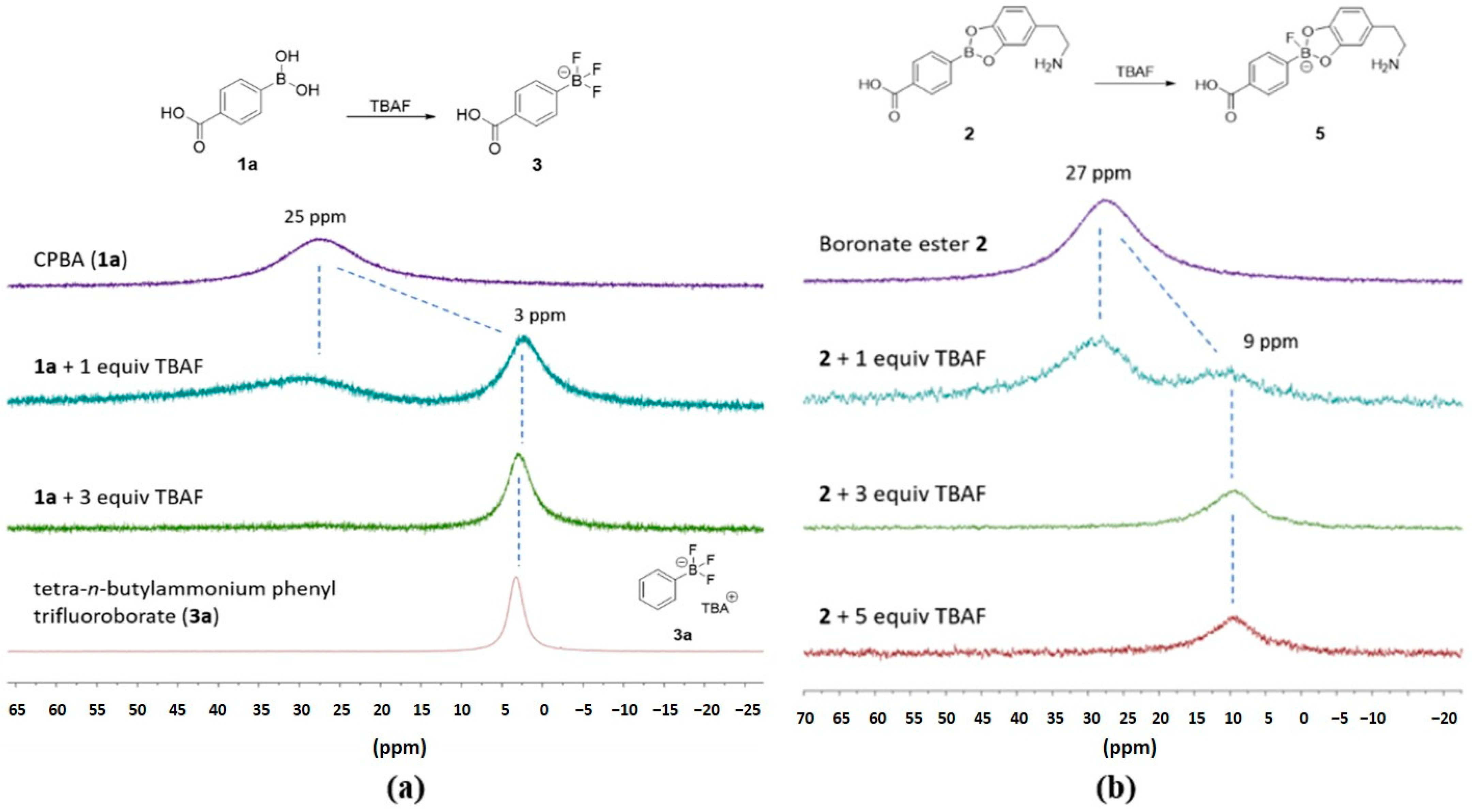 Polymers 16 03258 g002