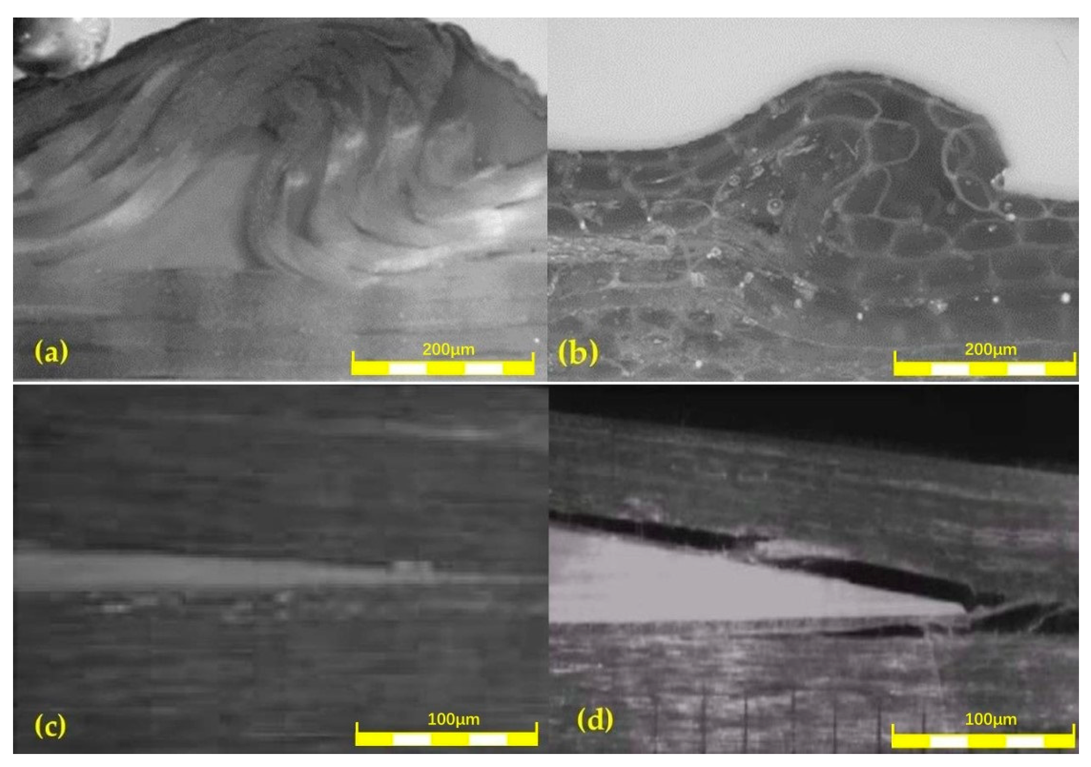 Polymers 16 03261 g007