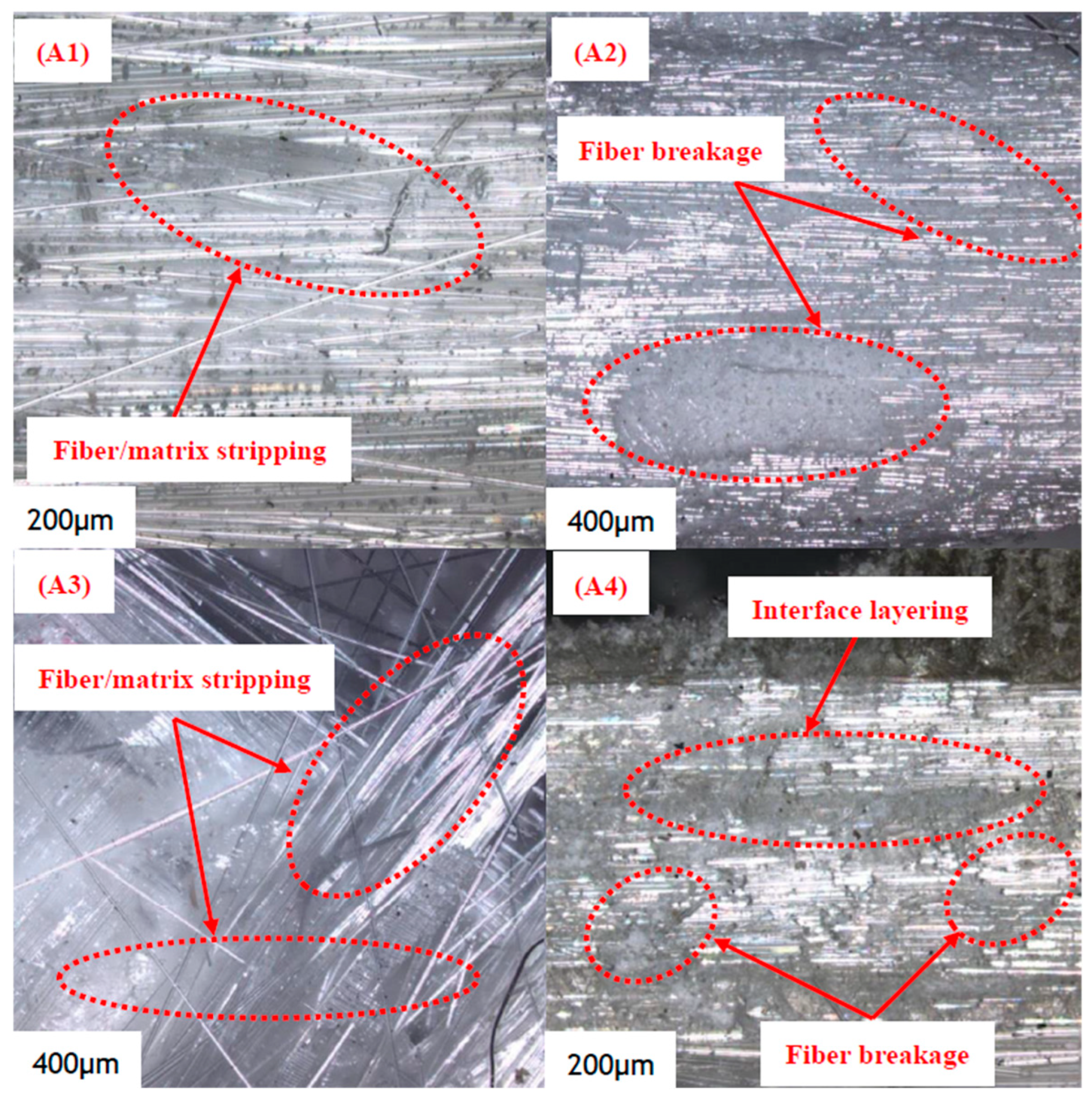 Polymers 16 03261 g022