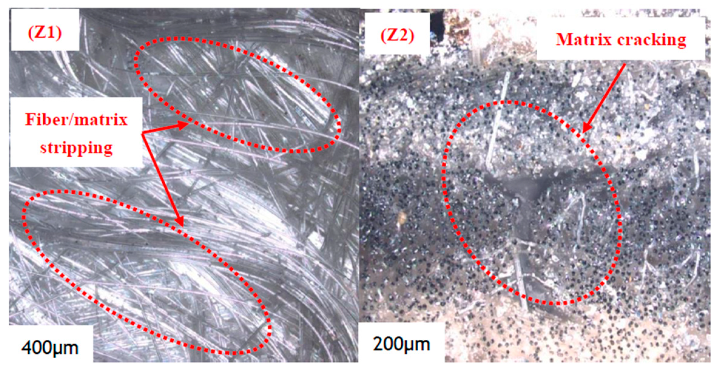 Polymers 16 03261 g023