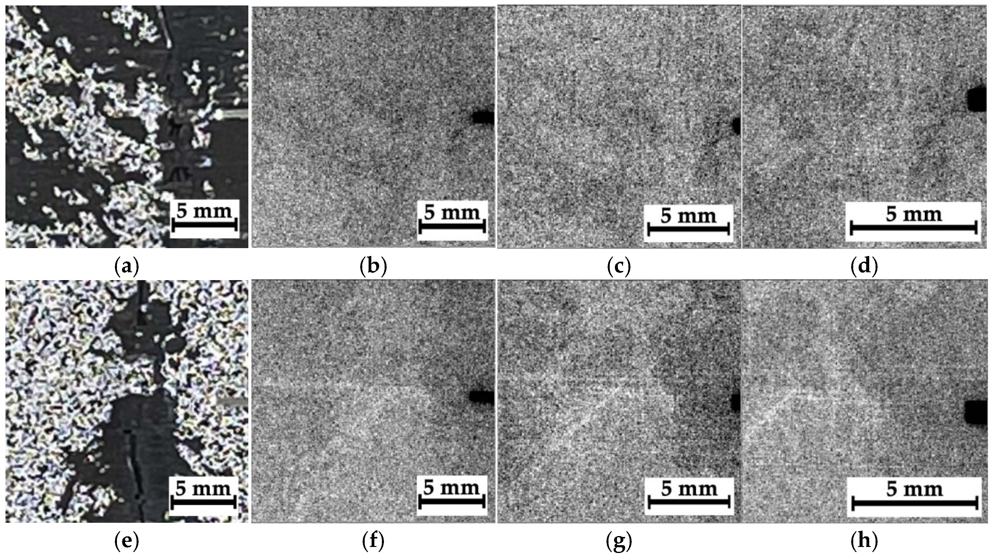 Polymers 16 03262 g013a
