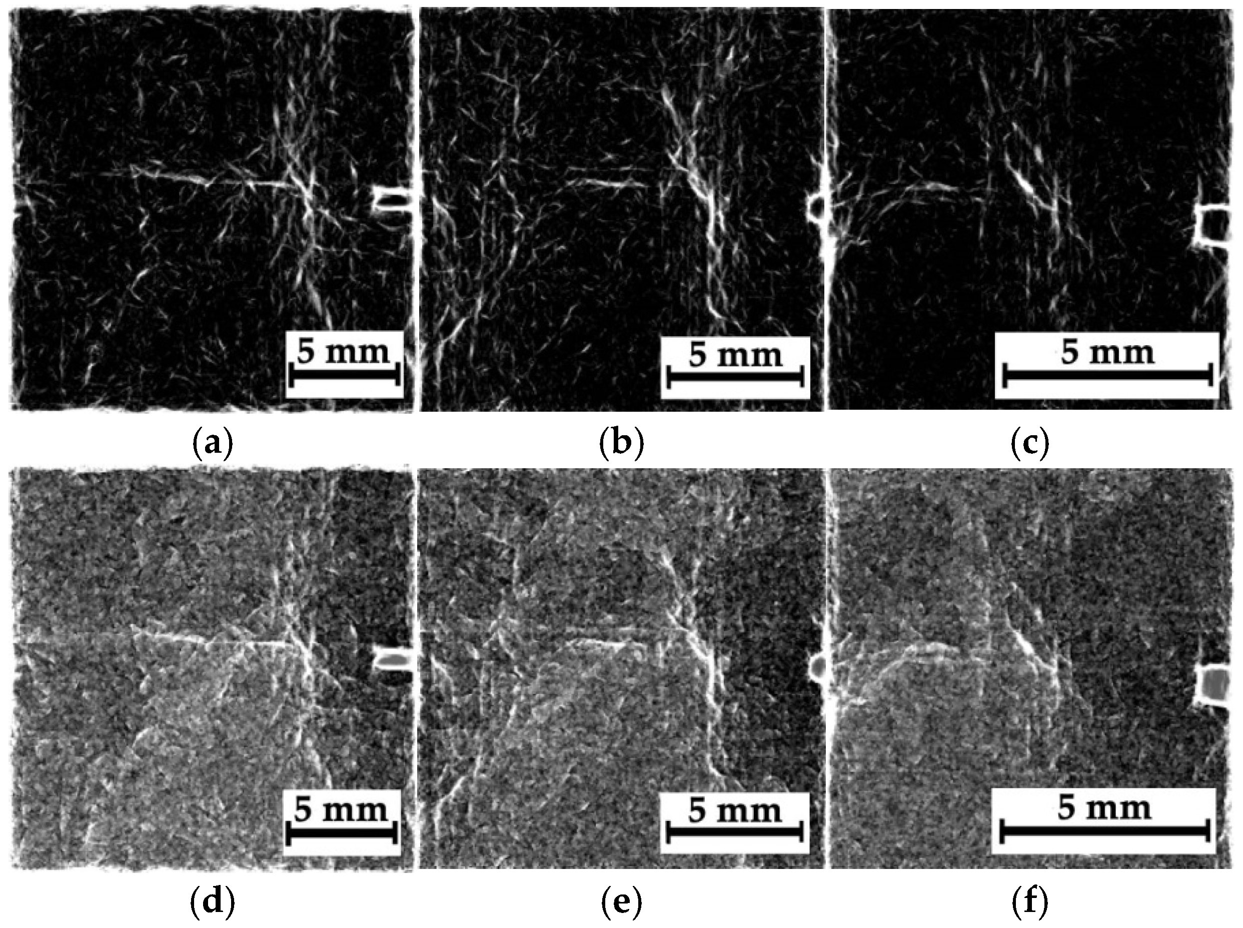 Polymers 16 03262 g014
