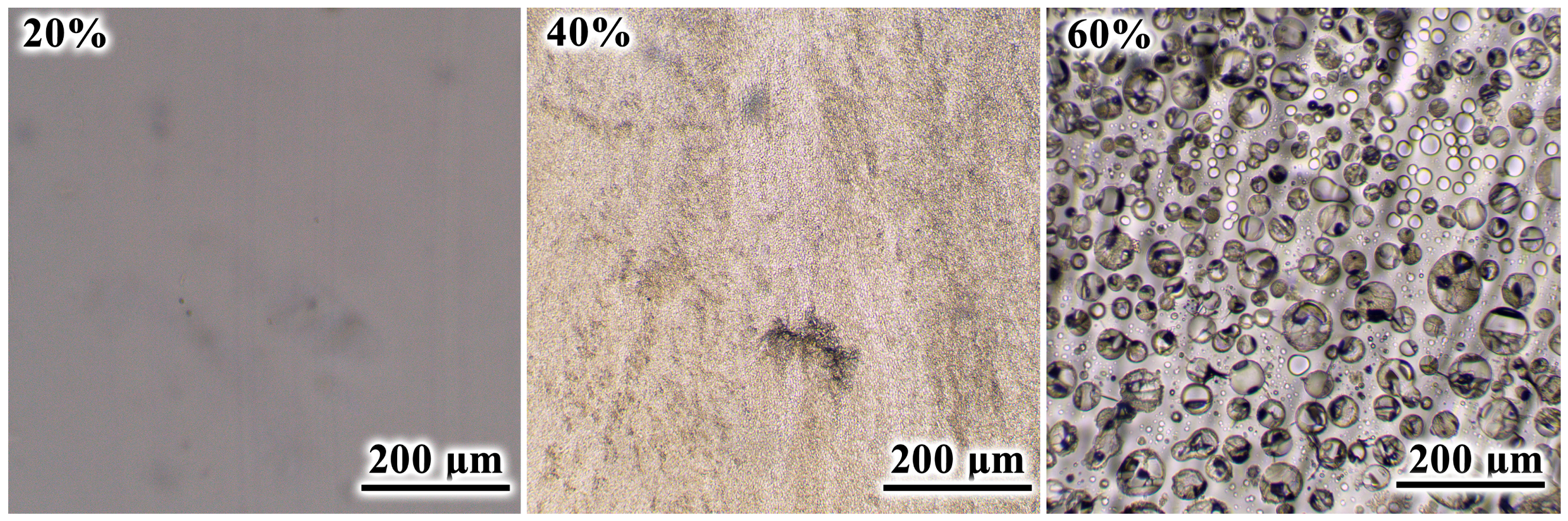 Polymers 16 03264 g007
