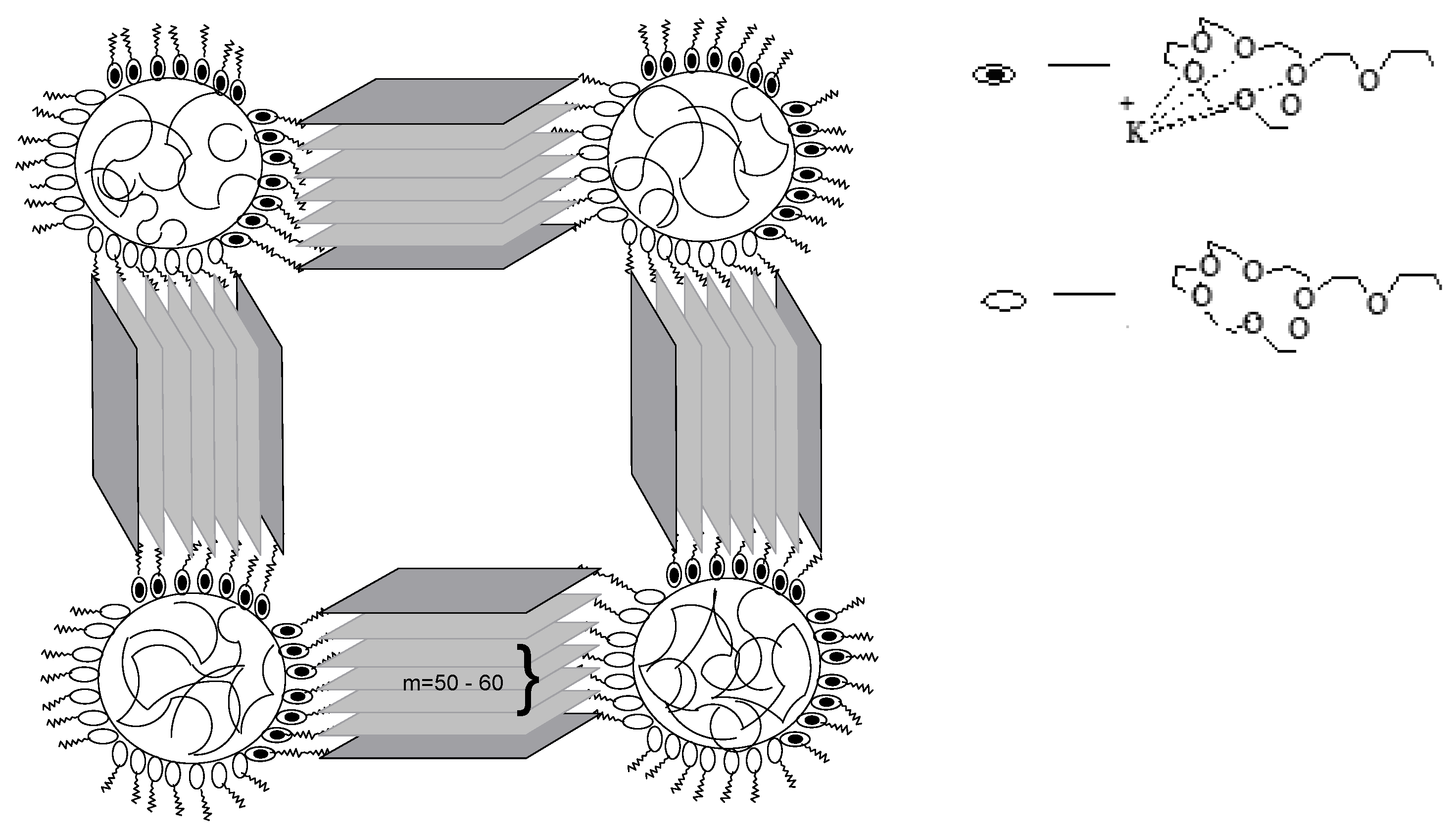 Polymers 16 03267 i001