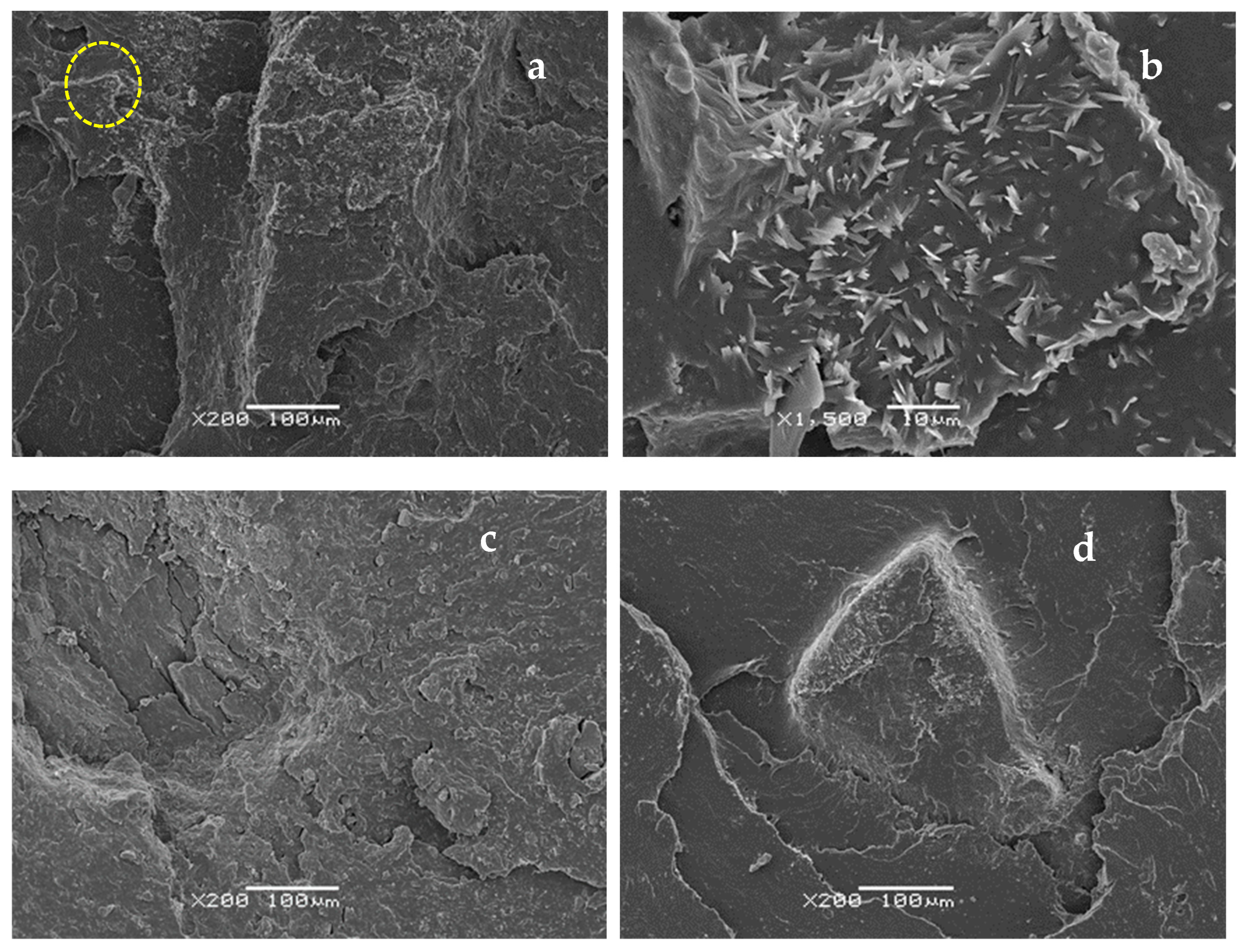 Polymers 16 03270 g008