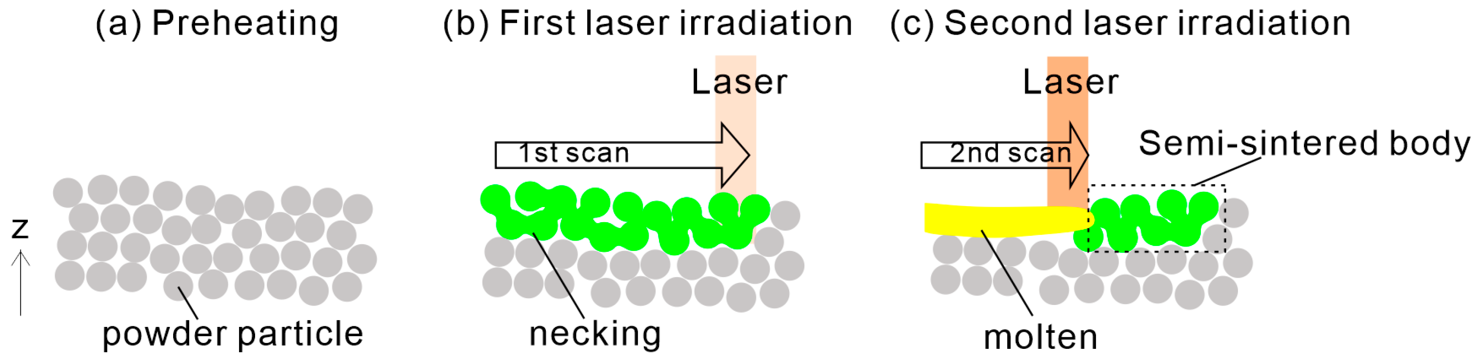 Polymers 16 03278 g001